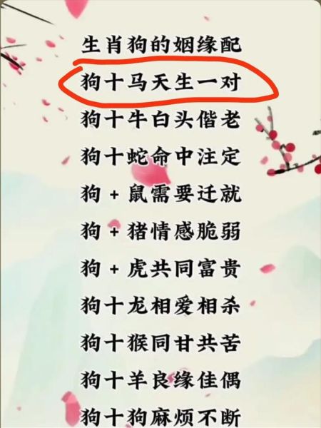 女鸡男狗属相结婚后果_能过一辈子吗