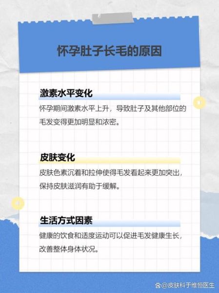 肚子长毛运势_肚子长毛代表什么