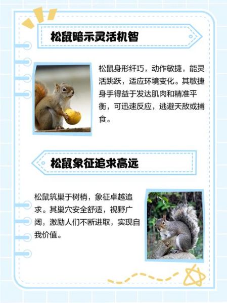 梦到小松鼠是什么意思_梦到小松鼠预示什么