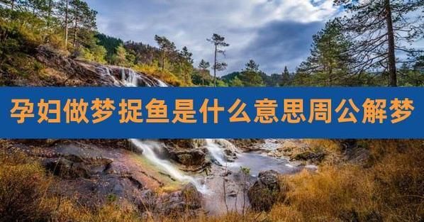 梦到抓鱼是什么意思_梦见抓鱼是吉是凶