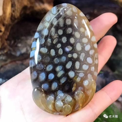 梦到珍宝是什么意思_梦到珍宝预示着什么