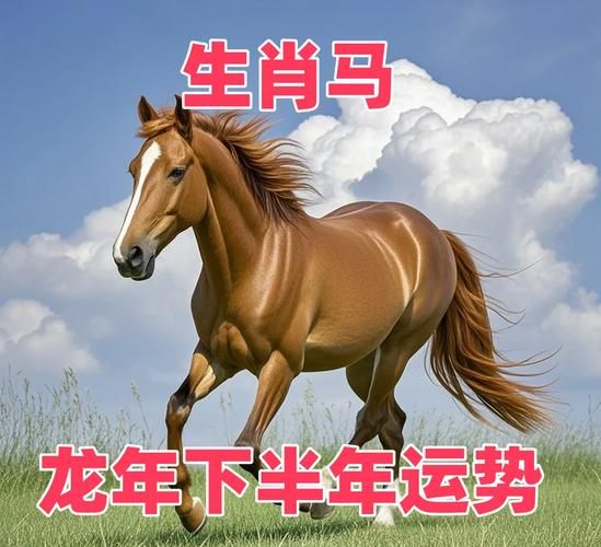 2024年54岁属什么生肖_54岁属马今年运势如何