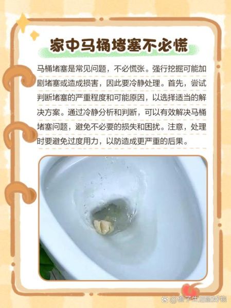 梦到坐马桶是什么意思_梦见马桶堵塞怎么办