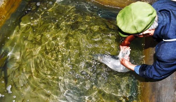 梦到挖到宝藏_意味着什么