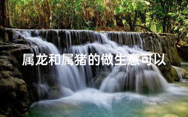 属龙和属猪合伙做生意合财吗_属龙与属猪合作财运如何