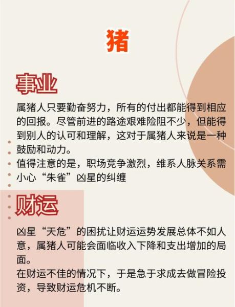 属猪的名人有哪些_属猪明星成功秘诀