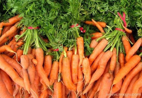 梦到挖胡萝卜是什么意思_梦见挖胡萝卜好不好