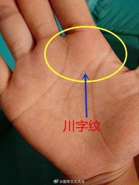 男人双手川字掌好吗_川字掌男人命运如何