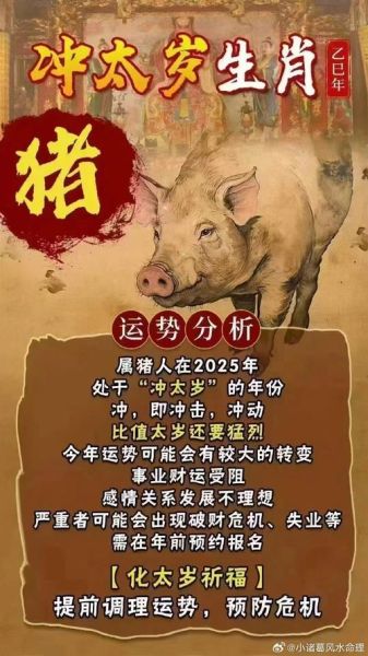 猪女今日财运如何_猪女今日偏财运势