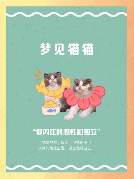 梦到好多猫是什么意思_梦见猫群暗示什么