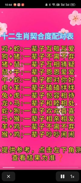 狗和猪合不合_狗猪属相婚配好吗