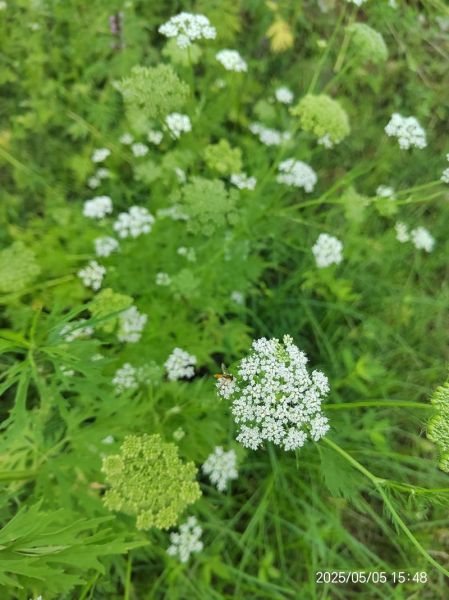 梦到很多沙子是什么意思_梦到沙子代表什么