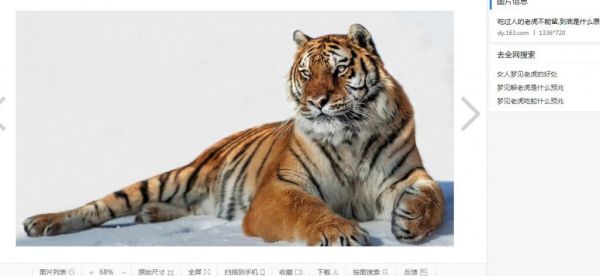 梦到生老虎是什么意思_孕妇梦见老虎生崽预示什么