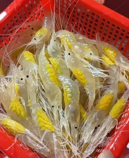 梦到买虾是什么意思_梦见买虾预示什么