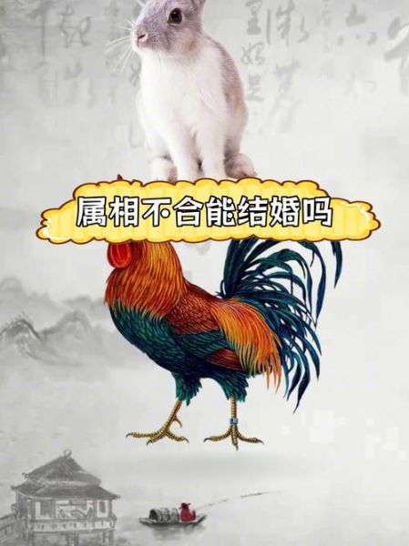 鸡兔属相合不合_鸡兔配对婚姻如何