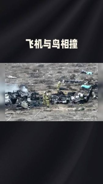 梦到飞机撞_预示什么