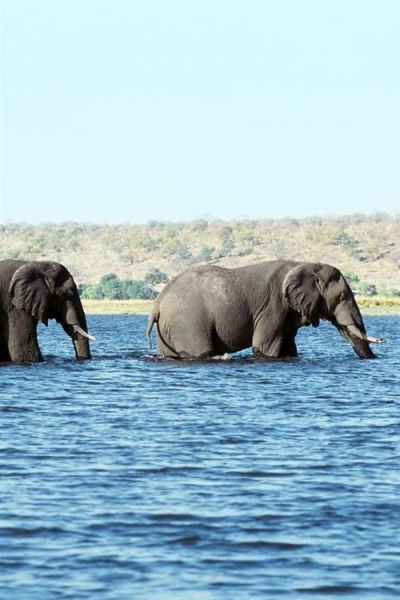 梦到自己在水中走是什么意思_水中行走梦境解析