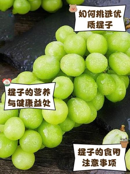 梦到提子是什么意思_梦见提子预示什么