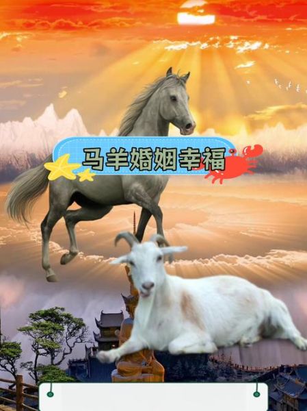 羊马生什么属相孩子_羊马夫妻生什么宝宝好