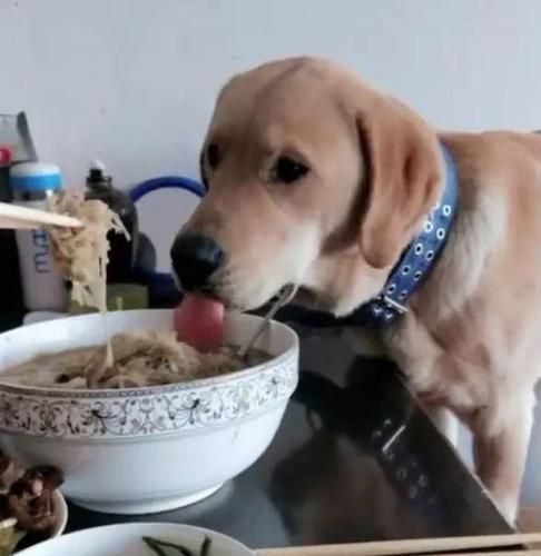 梦到抢饭是什么意思_梦见抢饭好不好