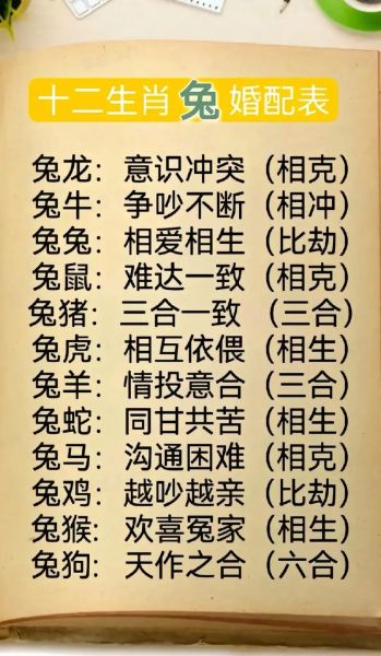 属猪和属兔的婚配好吗_属猪和属兔的婚姻如何