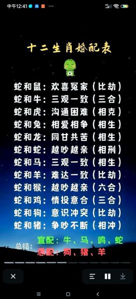 什么属相的老婆最好_属相婚配最旺夫