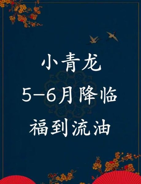 属龙2024年每月运势_属龙每月运势详解
