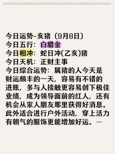 猪人今日运势_如何提升财运