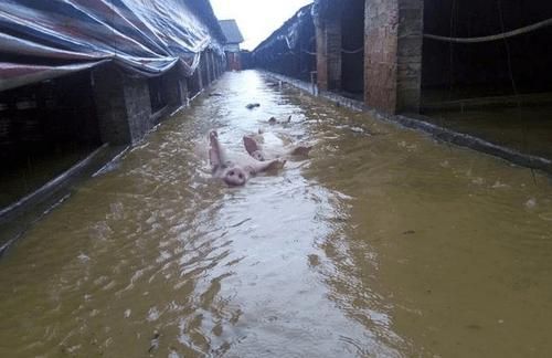 梦到淹死人了_预示什么