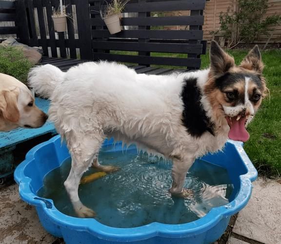 梦到断肢是什么意思_梦见断肢预示什么