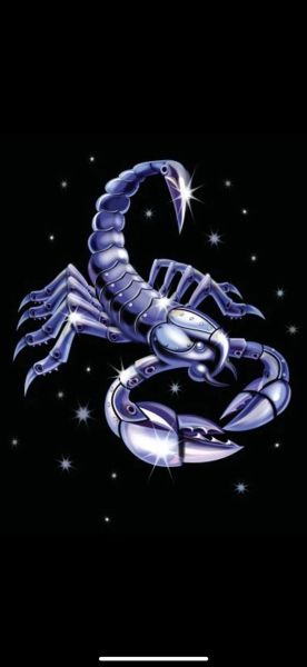 天蝎座属狗明日运势如何_天蝎座属狗明日财运好吗