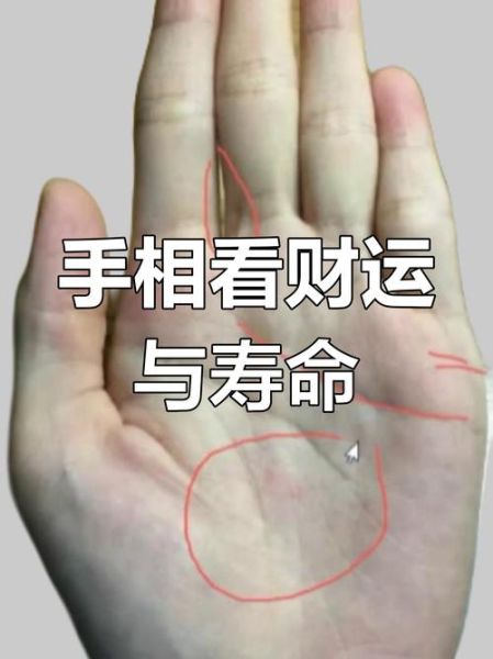 有财运手纹有哪些_如何看手相财富线