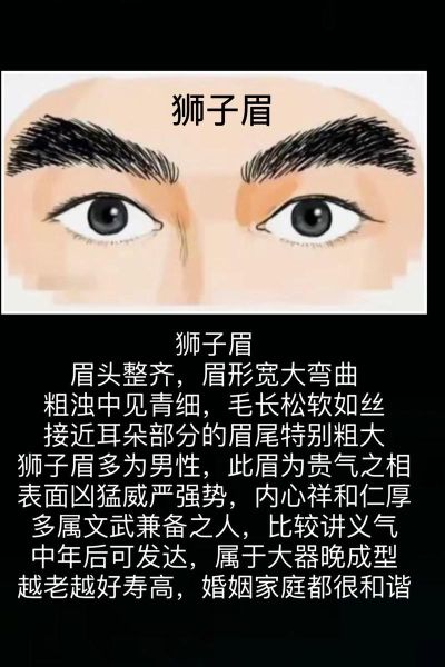 男士眉毛运势_男人眉毛形状与财运关系