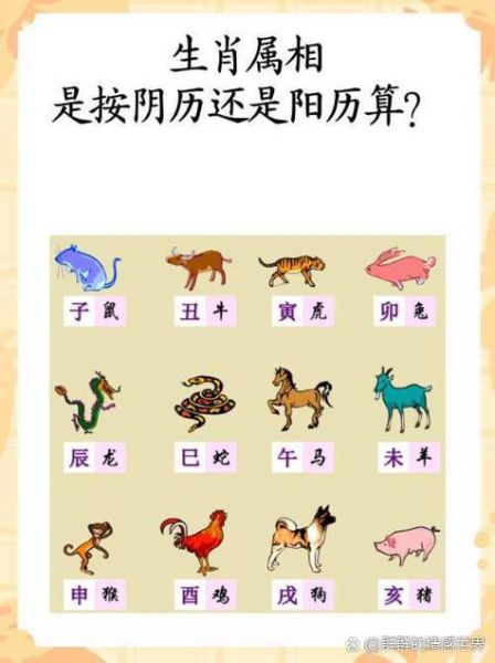属相按农历还是阳历算_生肖到底怎么算才准