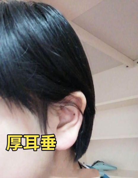 耳垂厚大财运_耳垂厚大真的招财吗