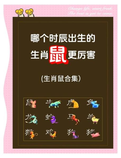 2019年属鼠每月运势详解_属鼠2019年运程如何