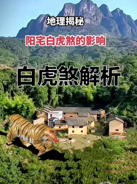 梦到被白虎追是什么意思_白虎追人梦境解析