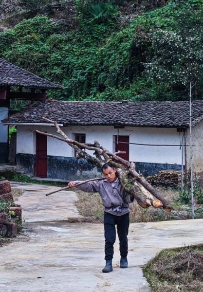 梦见砍柴是什么意思_梦到自己砍柴好不好