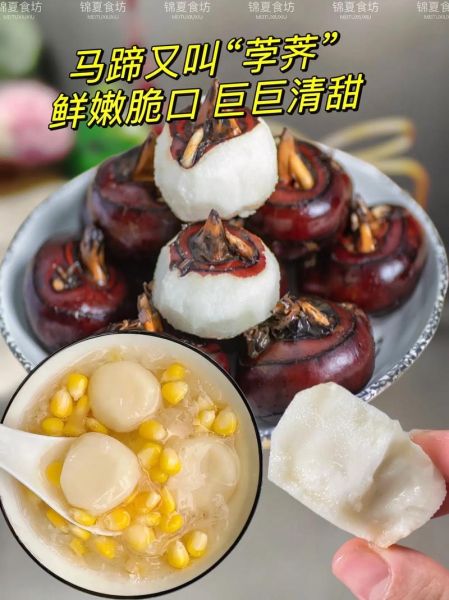 梦到吃马蹄是什么意思_梦见马蹄的预兆