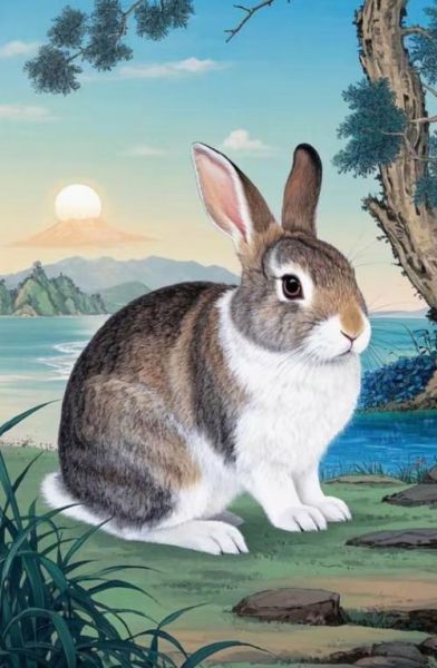 2018属兔运势如何_2018兔人全年运势详解