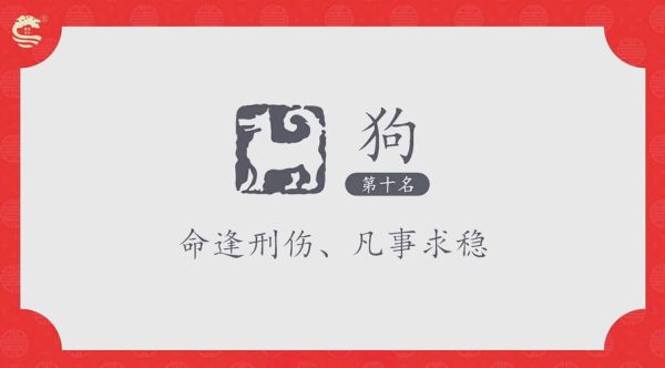 属狗和属猪合不合_2024年运势如何