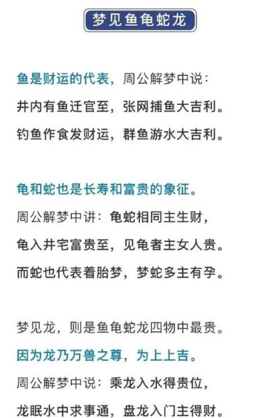 梦到抓乌龟是什么意思_梦到抓乌龟预示什么