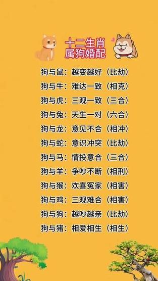 94年属狗和什么属相最配_94年属狗婚配宜忌