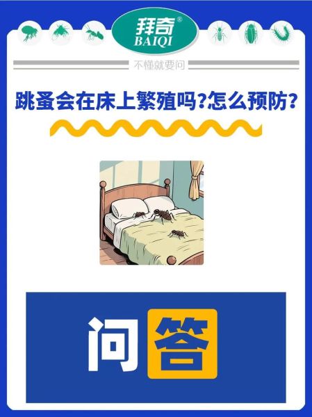 梦到抓跳蚤是什么意思_跳蚤梦境解析