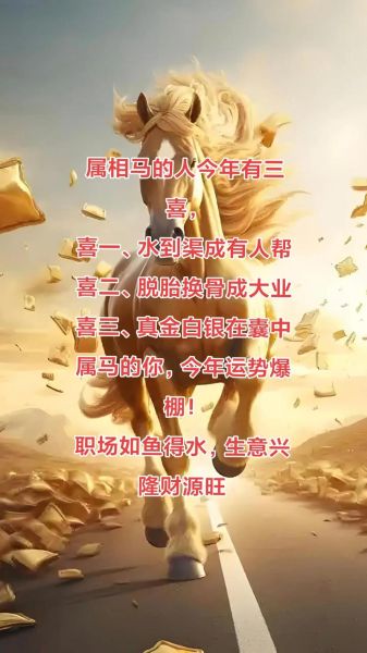 2017年属马运势详解_生肖马今年财运如何