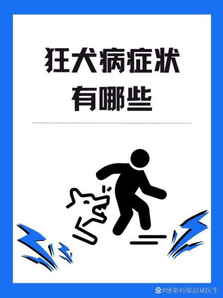 梦到狂犬病_意味着什么