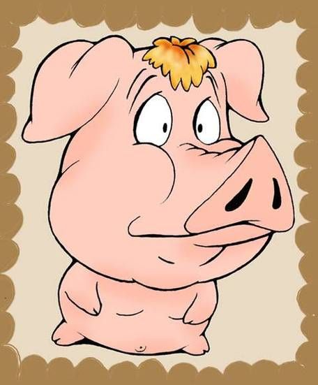 怀孕梦到猪是什么意思_孕妇梦见猪的吉凶