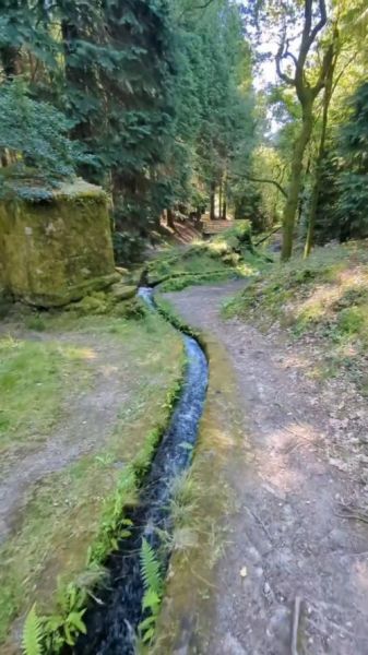 梦到渠里流水很大_意味着什么