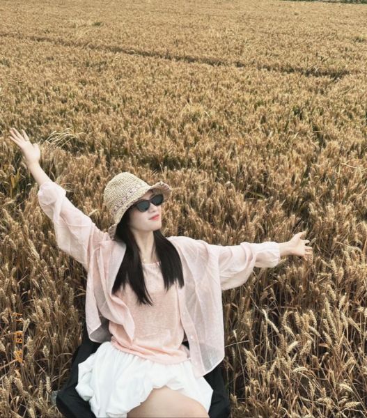 梦到麦田是什么意思_麦田梦境解析