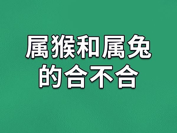 属兔和属猴的合不合_兔猴相冲吗